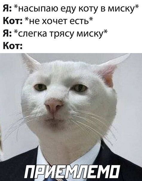 Скрины из соцсетей 