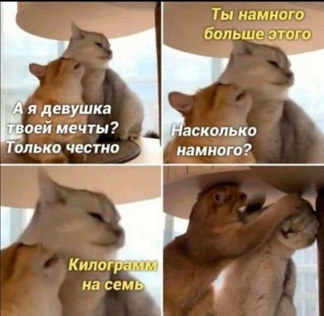 Скрины из соцсетей 