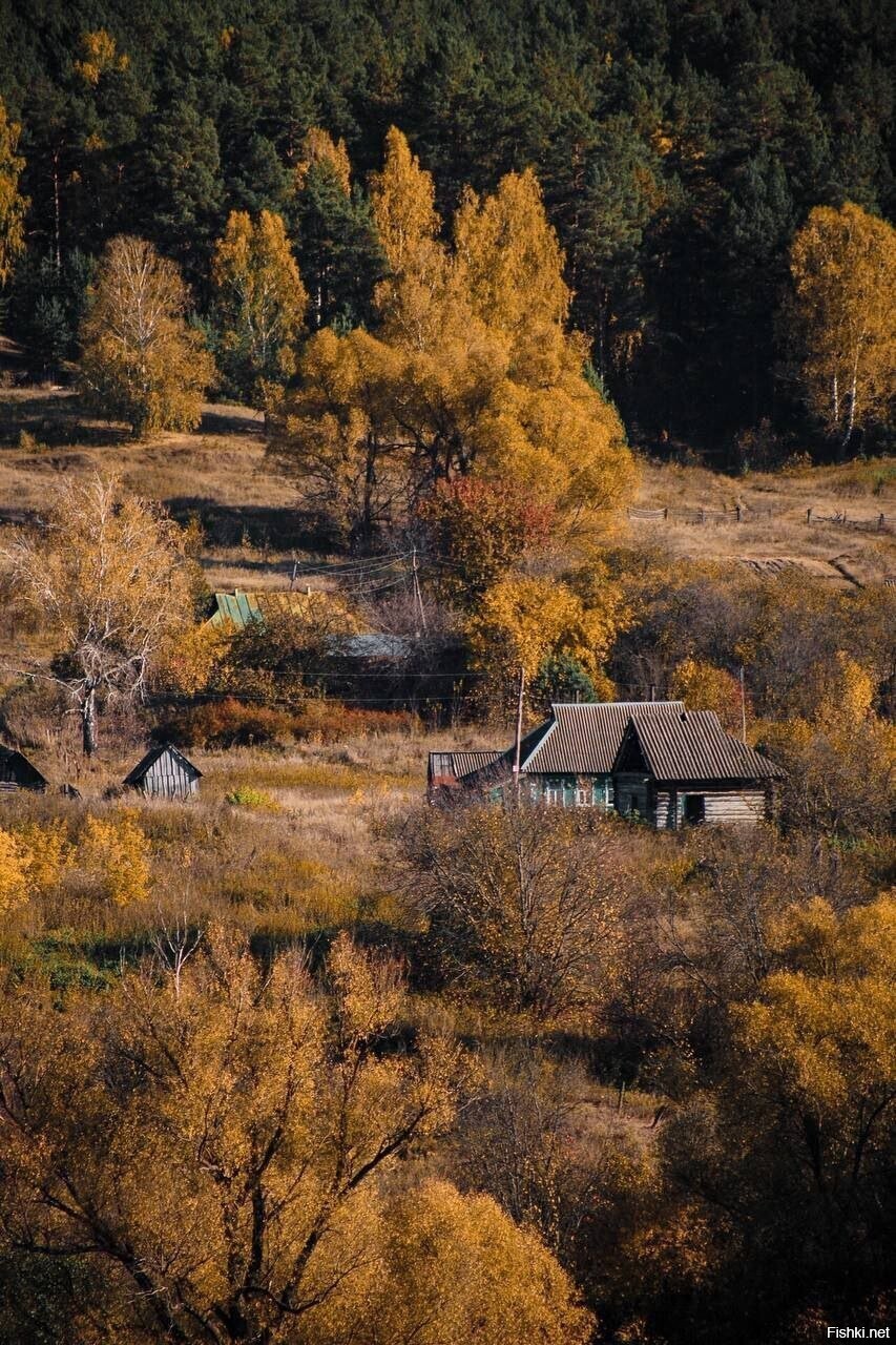 Питбайк фото в деревне