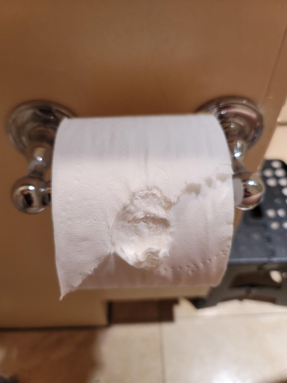 8. Мой сын откусил кусок туалетной бумаги