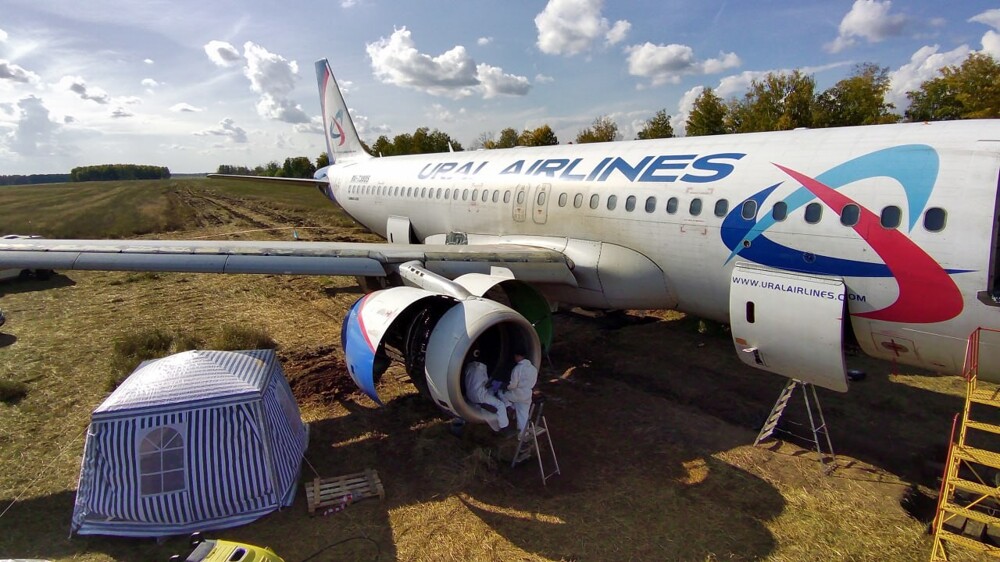 "Уральские авиалинии" сообщили о подготовке севшего в поле самолёта Airbus к взлету