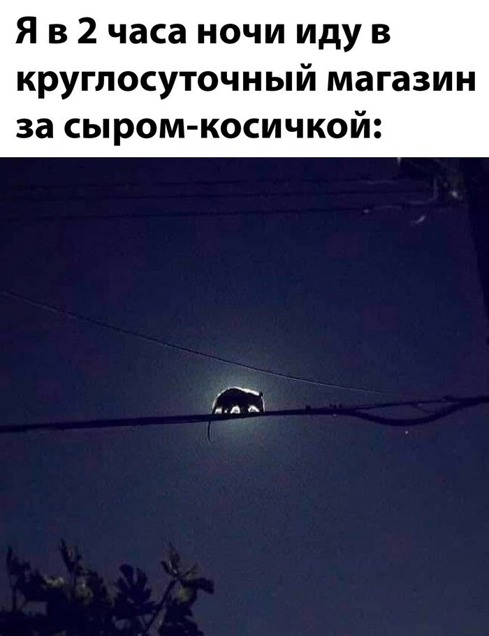 Скрины из соцсетей 