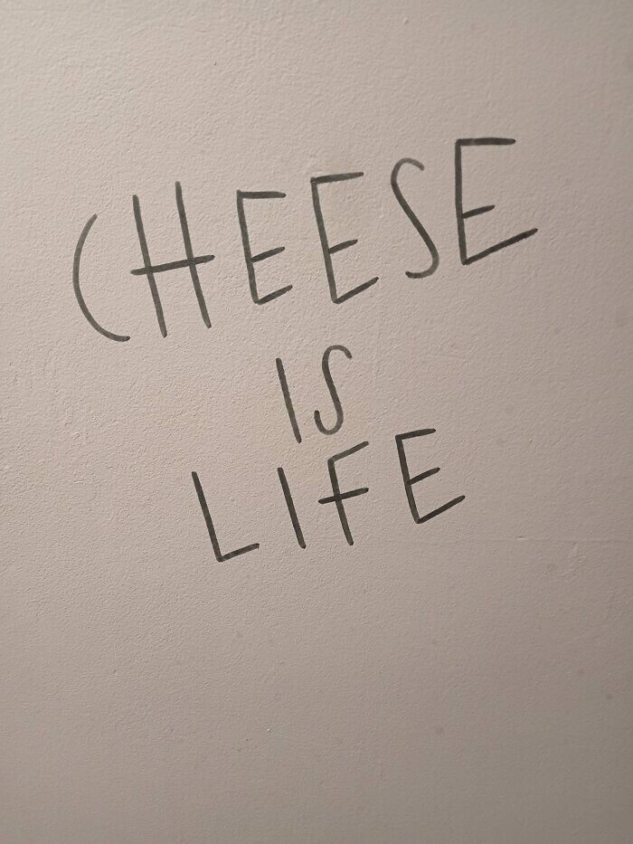 12. «Сыр — это жизнь»
