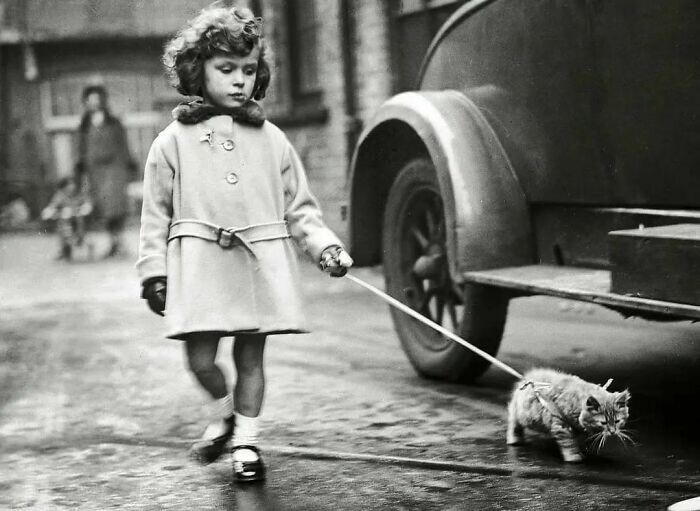 9. Девочка и её котенок, 1931 год