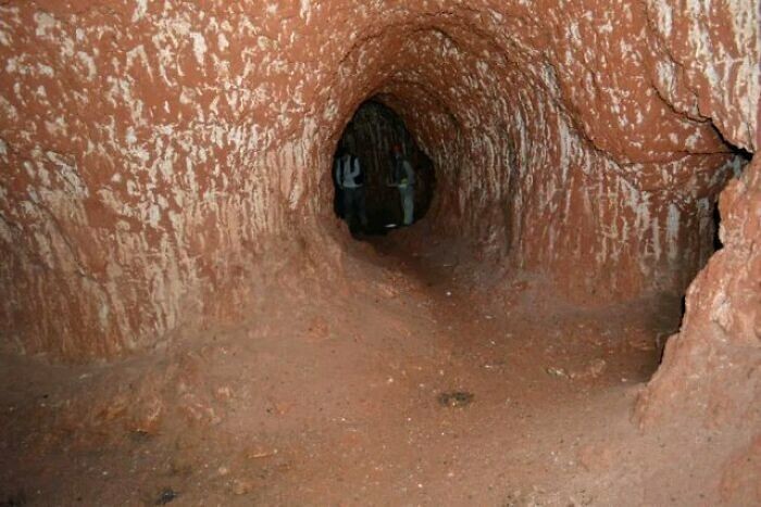1. Туннель, вырытый гигантским наземным ленивцем в Бразилии (10 000 лет назад)