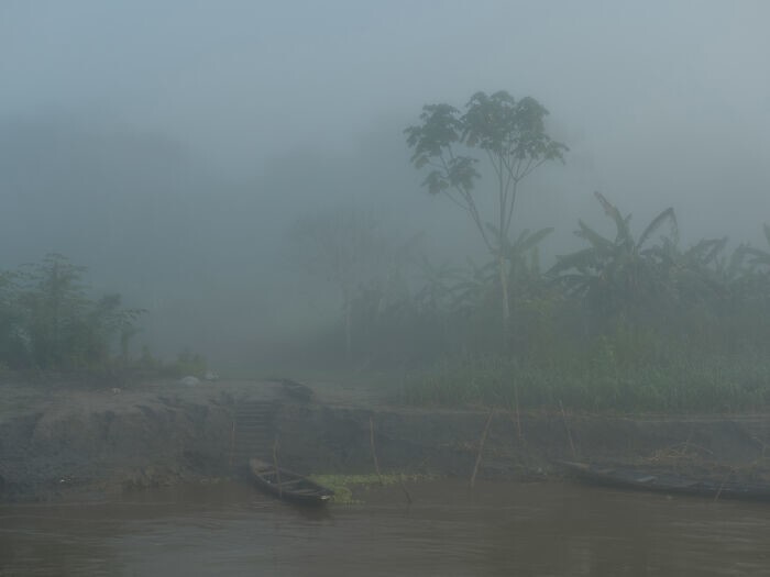 Утренний туман на берегу Амазонки