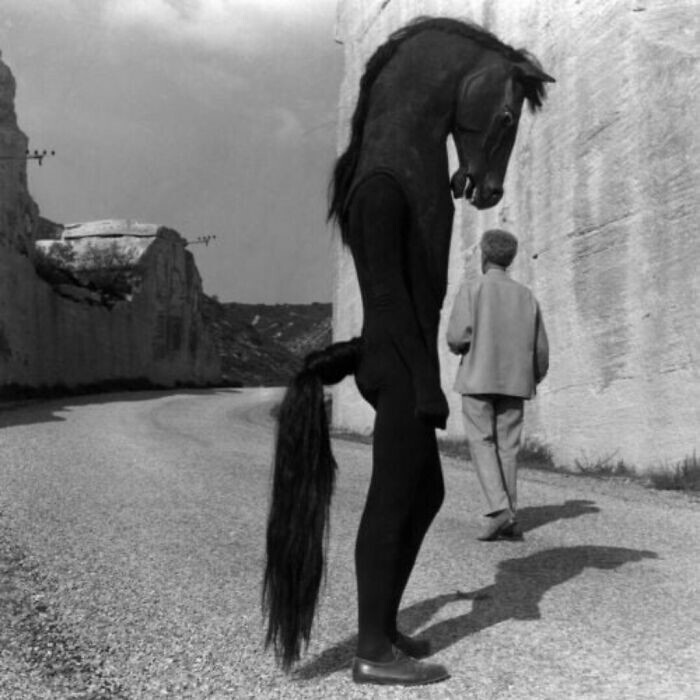 17. Костюм лошади из фильма Жана Кокто "Завещание Орфея", дизайн Жанин Жане, 1960 год