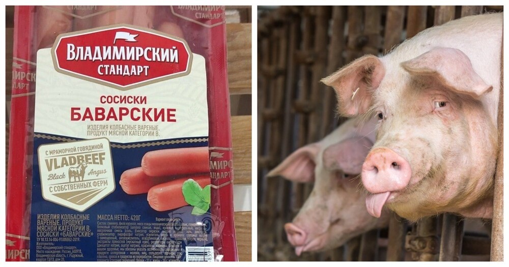 В российских сосисках нашли африканскую чуму свиней