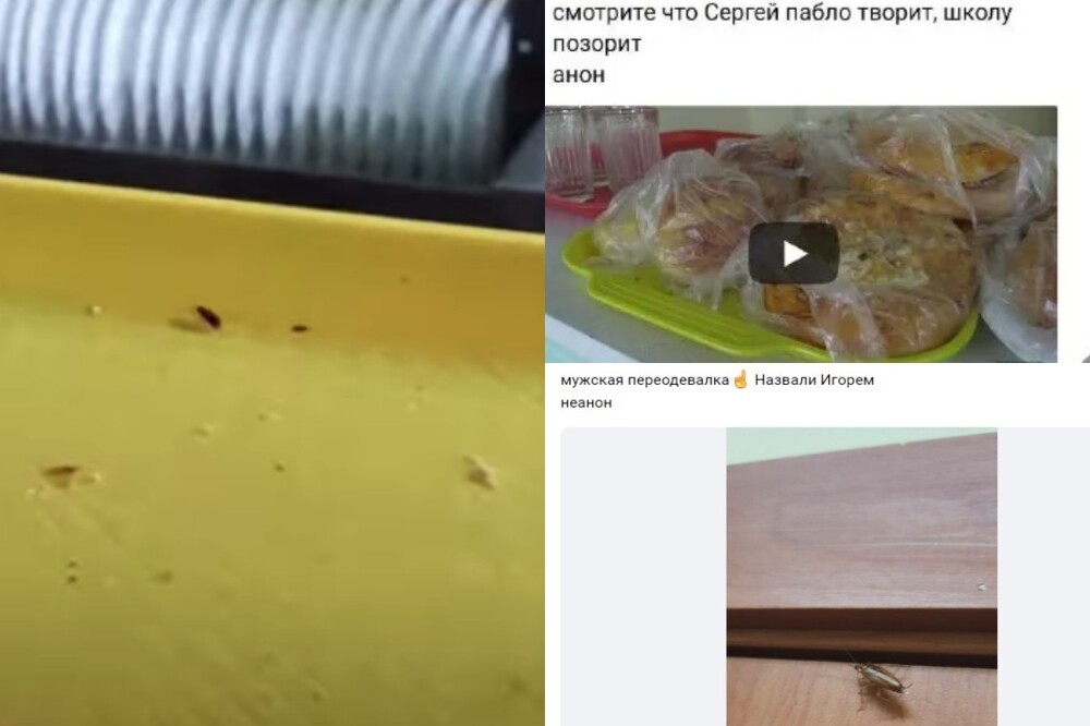 Ученика из Красноярска затравили за жалобу на тараканов в школьной столовой