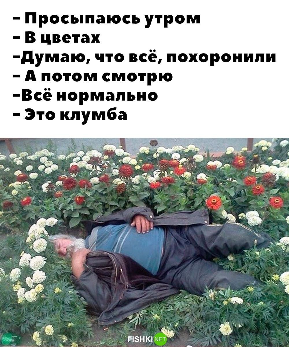 Проснулся в цветах