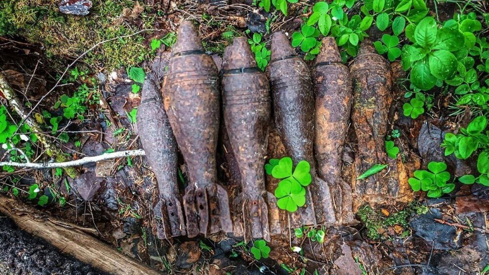 5. Грибник нашёл в лесу миномётные снаряды 