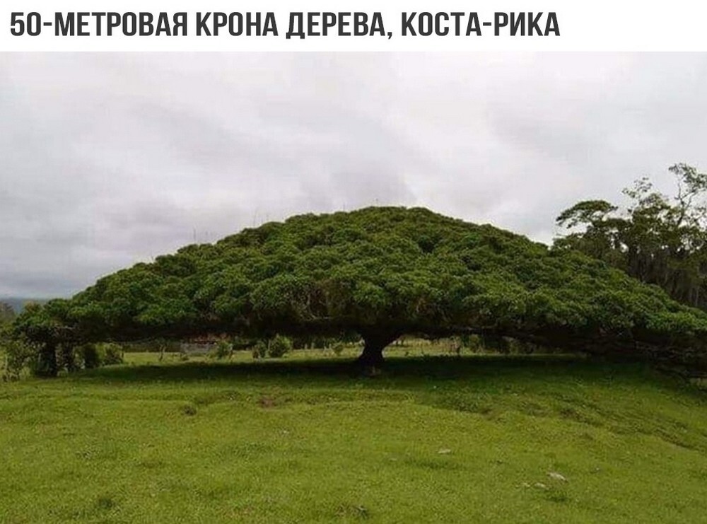 На общую тему 