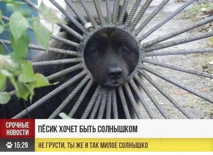 Скрины из соцсетей 