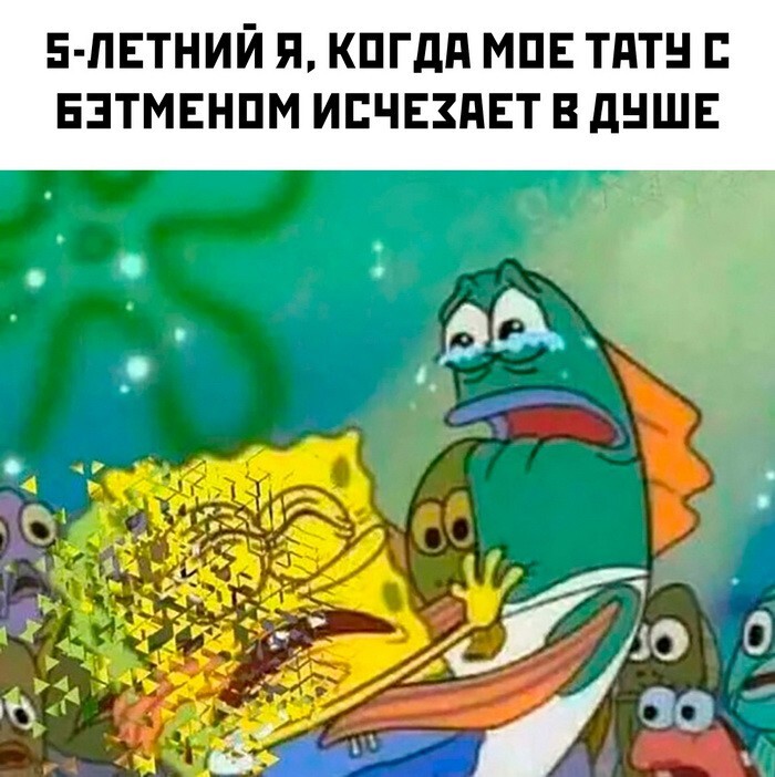 Скрины из соцсетей 