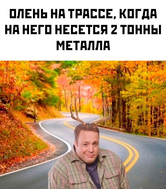 Скрины из соцсетей 