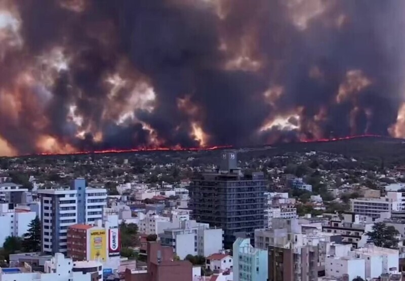В Аргентине вспыхнули лесные пожары из-за любителя кофе