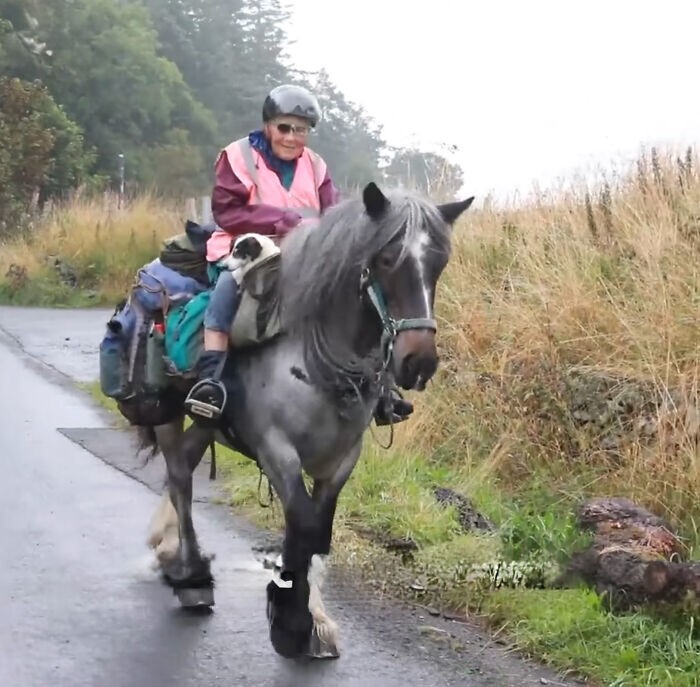 Джейн Дотчин ежегодно преодолевает 965 км, чтобы посетить Шотландию