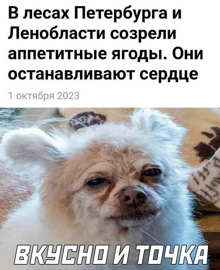 Скрины из соцсетей 