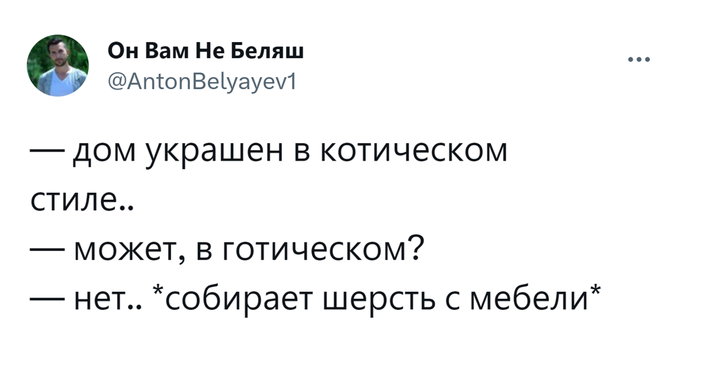 8. Котический стиль всё-таки уютнее готического