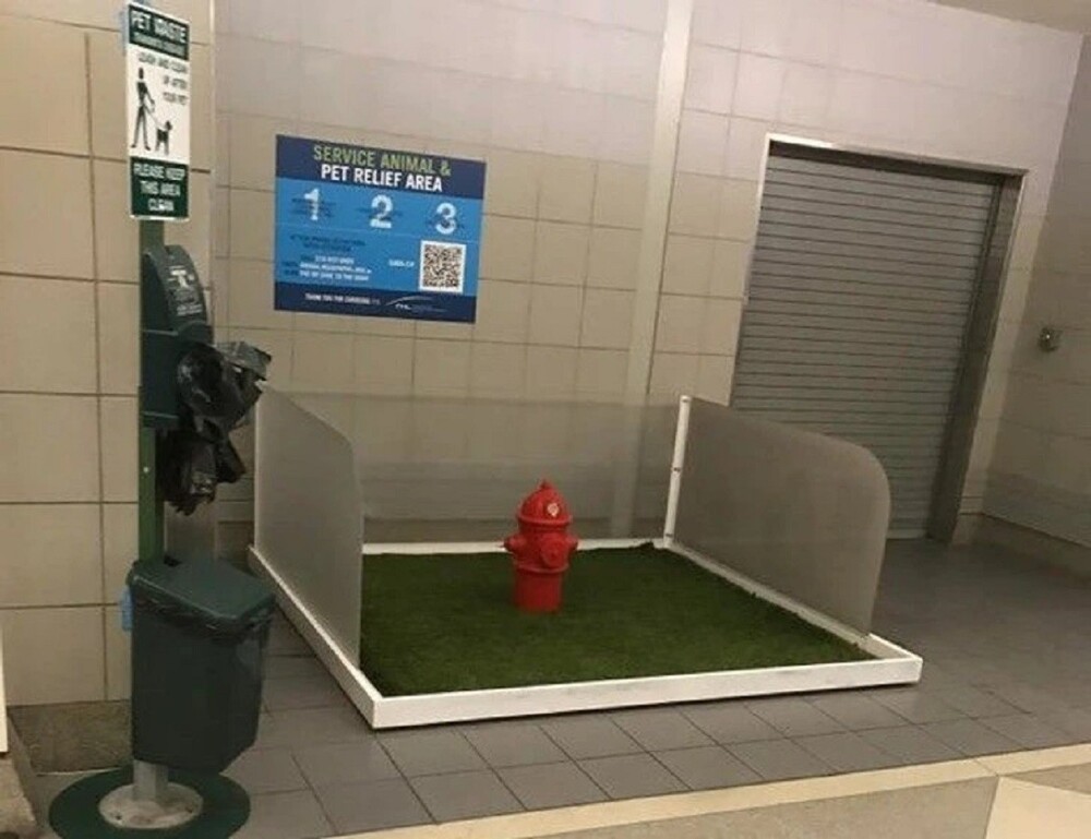 11. В аэропорту Филадельфии установлен фальшивый пожарный гидрант, чтобы служебные собаки могли справить нужду