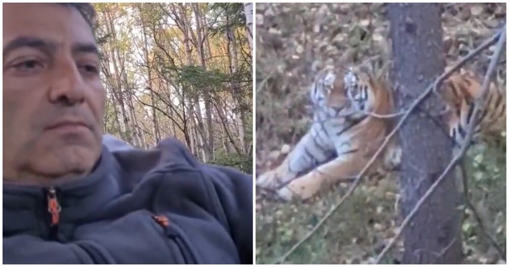 Два охотника встретились взглядом в лесу