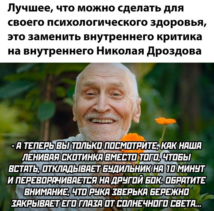 Скрины из соцсетей 