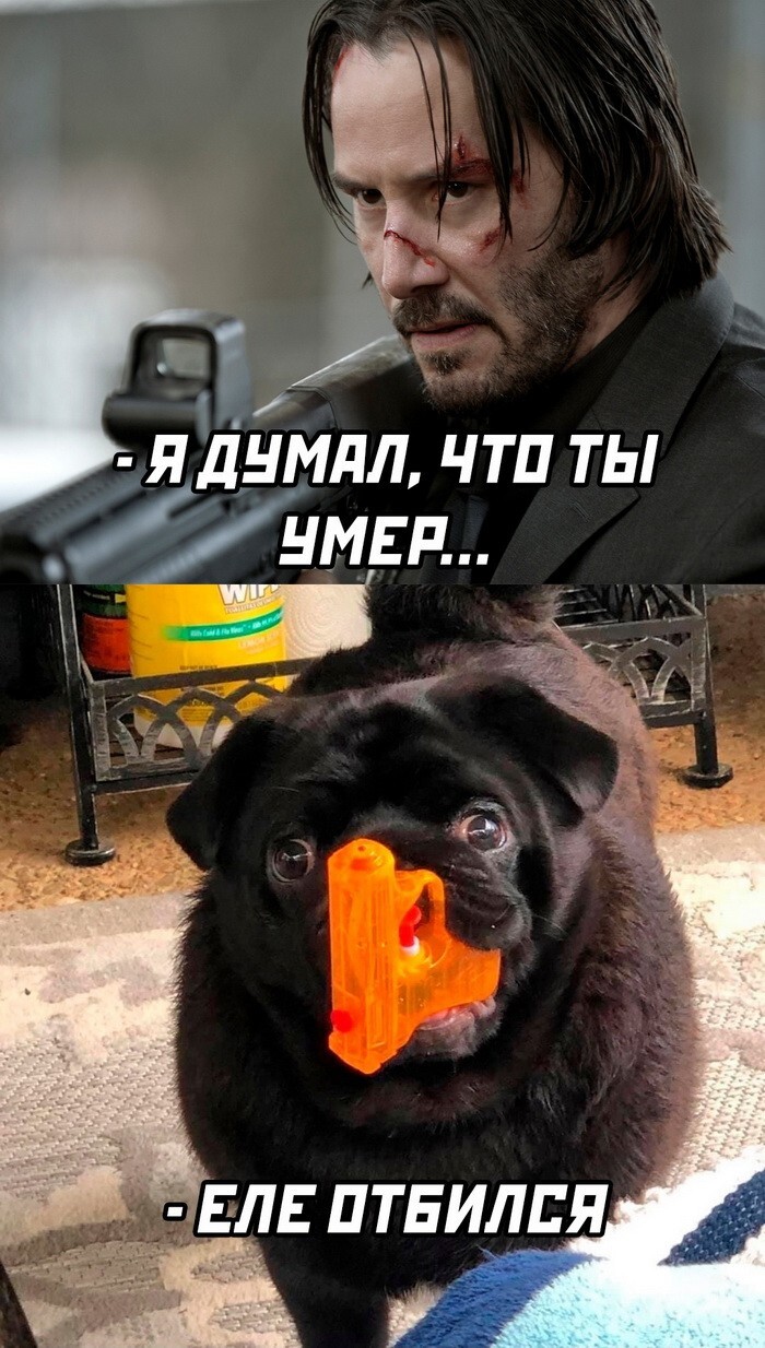 Скрины из соцсетей 