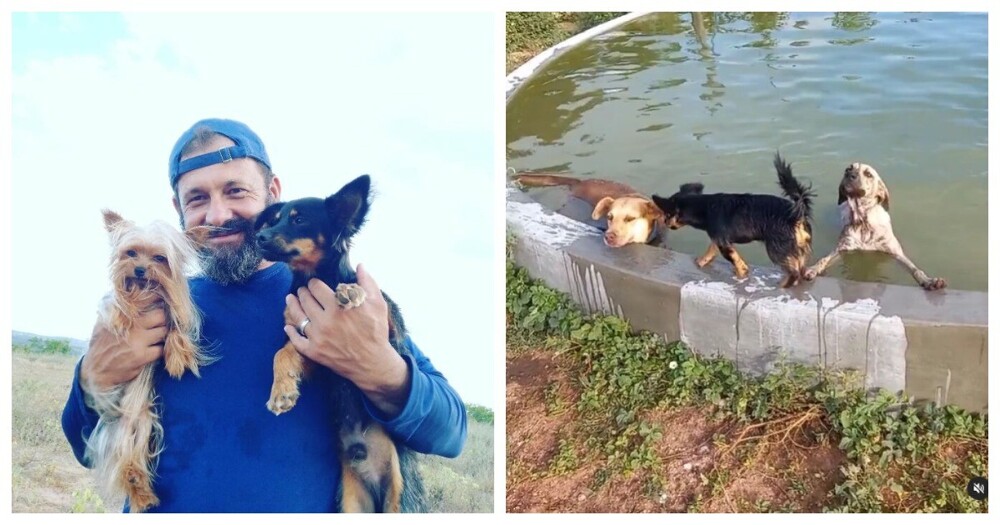 Бразилец построил бассейн для спасенных собак