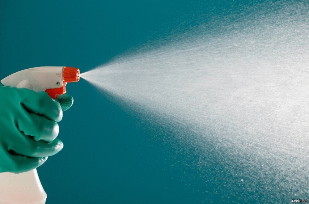 Опрыскивание вашей одежды водкой может улучшить запах, так как водка убивает ...