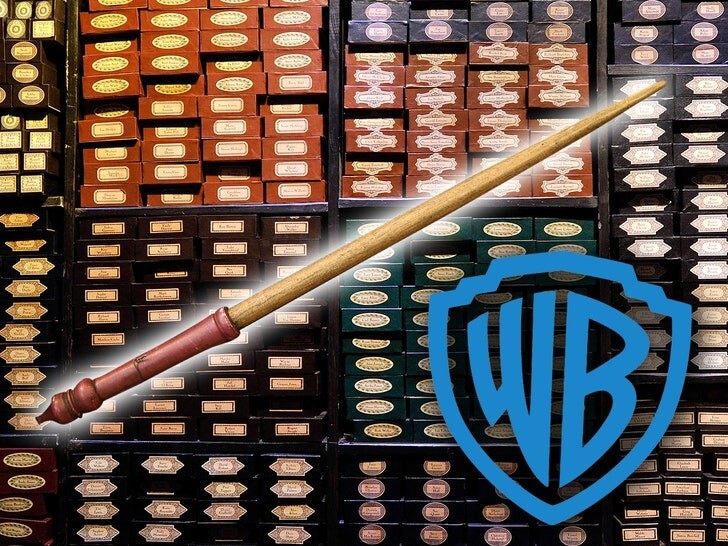 Американка подала заявление в суд на студию Warner Bros. из-за волшебной палочки Гарри Поттера