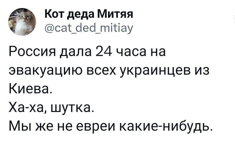 О политике и не только