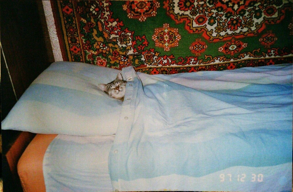 Спящий кот)), 1997 год.