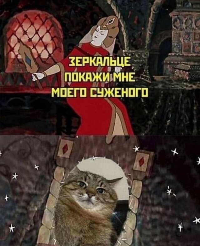 Скрины из соцсетей 