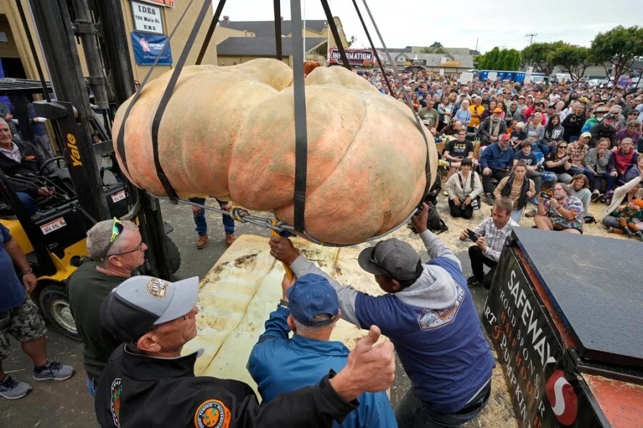 Тыква весом 1246 кг установила новый мировой рекорд