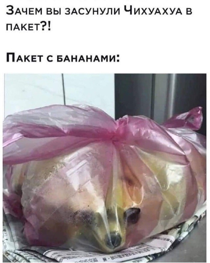 Всё вразнобой 