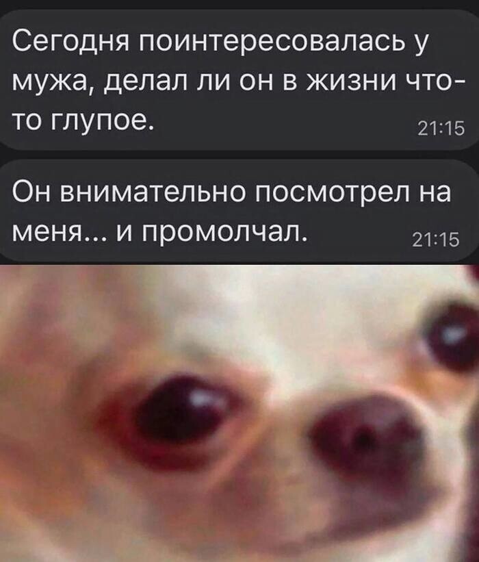 Всё вразнобой 