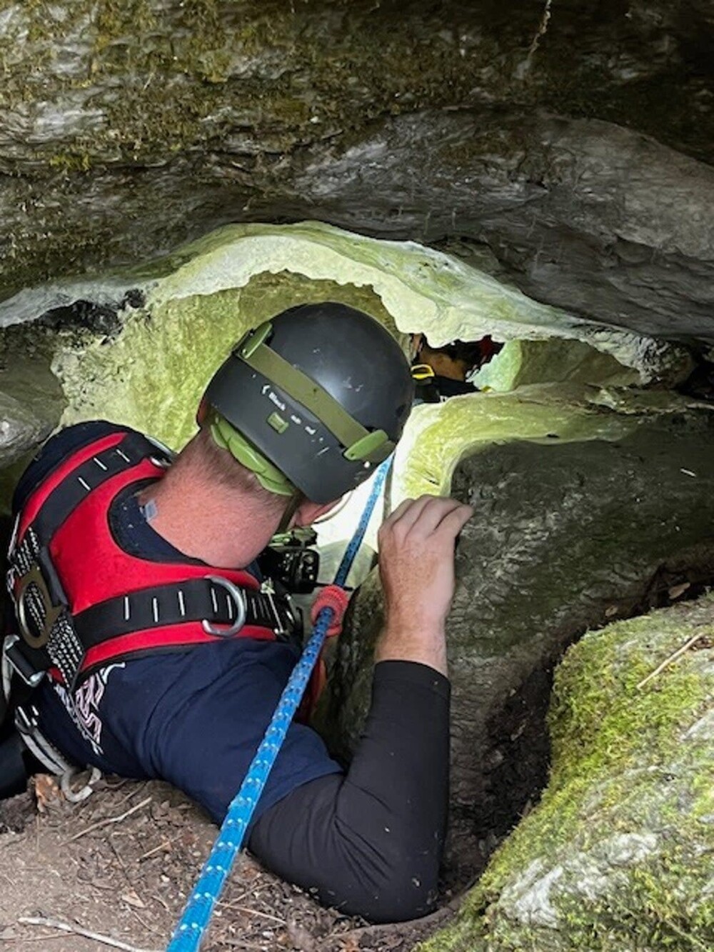 В США спасли собаку, которая три дня просидела в пещере с медведем