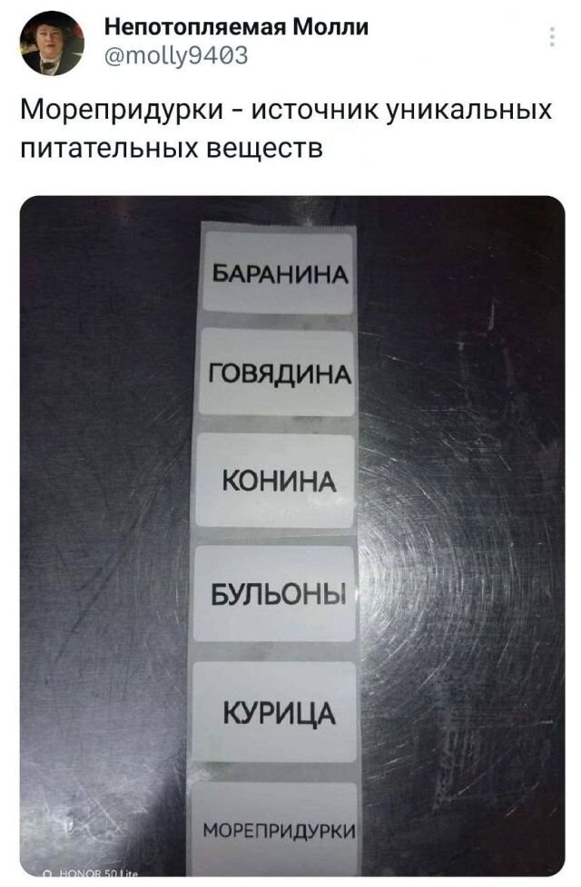 Не ищите здесь смысл. Здесь в основном маразм от АРОН за 18 октября 2023