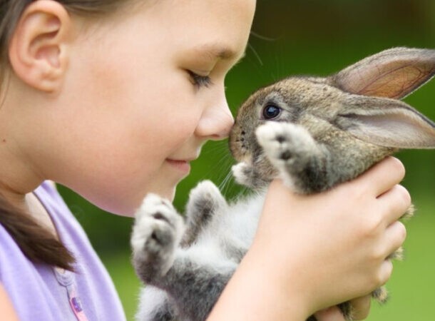 4. Кролики могут дышать только носом