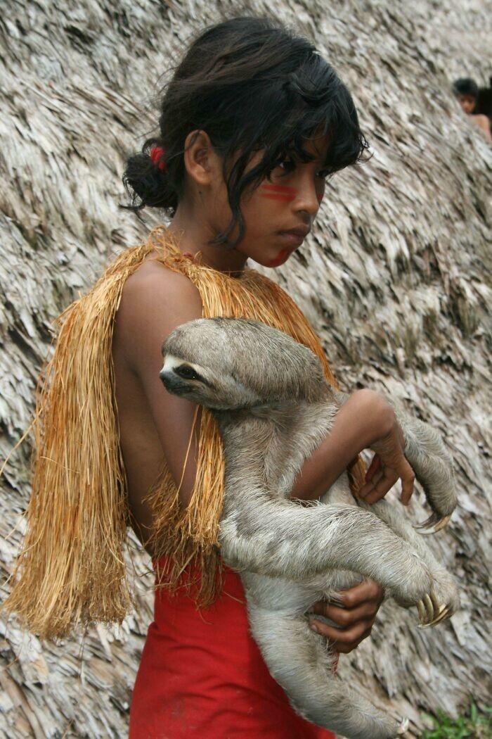 14. Девочка из Амазонии и её питомец-ленивец