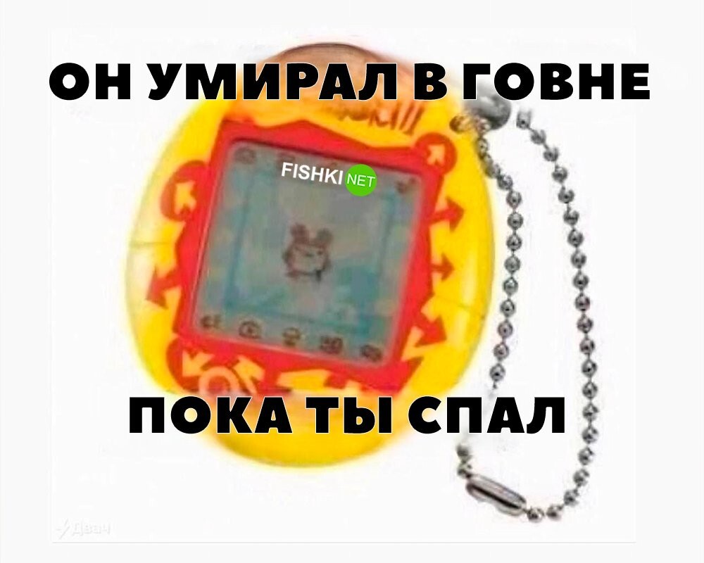 Правда жизни