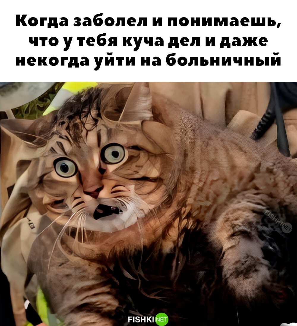 Очень жизненно 