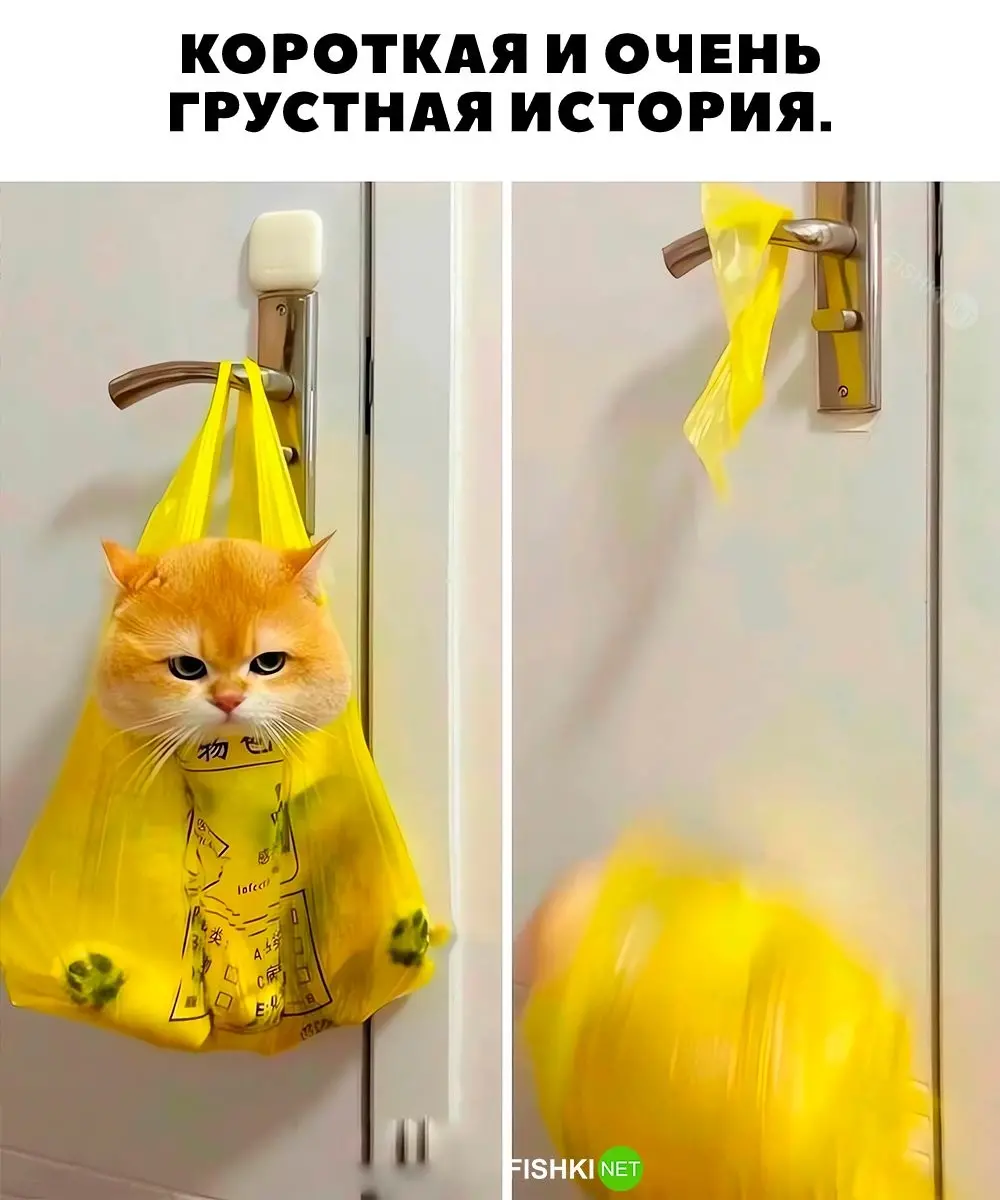 Моё "неправильное похудение" и немного о жизни