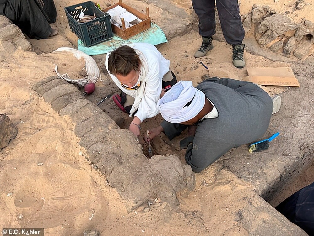 В гробнице Мернейт нашли доказательства того, что она была первой женщиной-правителем Древнего Египта