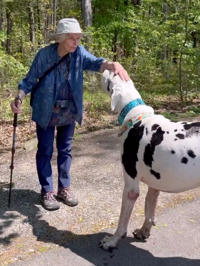 Бабушка потеряла мужа — но нашла свою отдушину в собаках