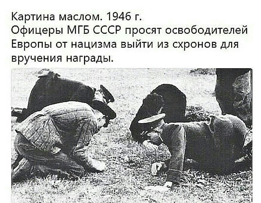 О политике и не только