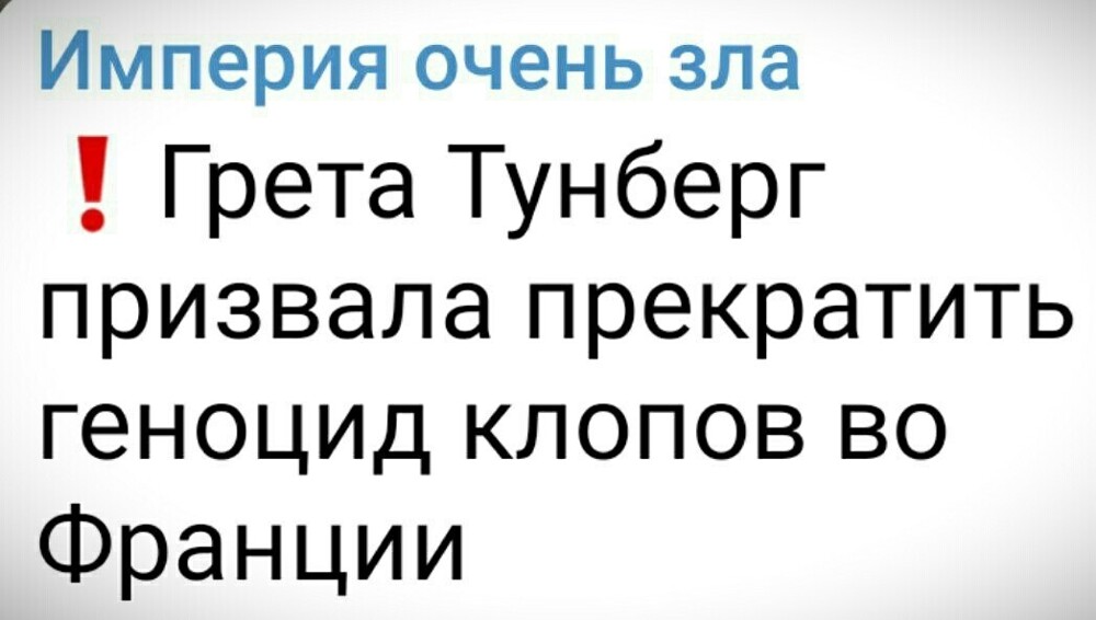 О политике и не только