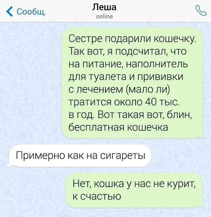 Не ищите здесь смысл. Здесь в основном маразм