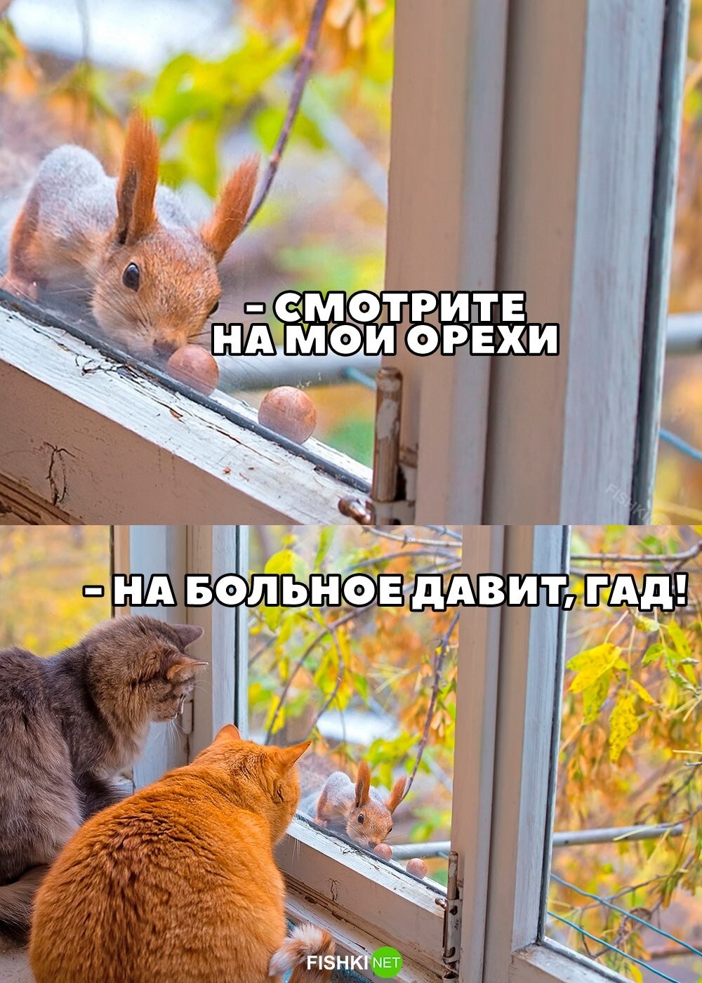 Знает на что давить