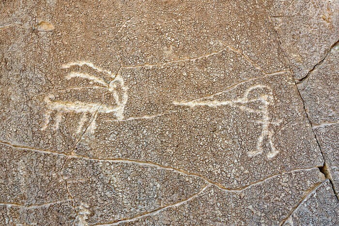 24. «Древний наскальный рисунок, который я увидел в пустыне в Израиле: охотник и козерог»